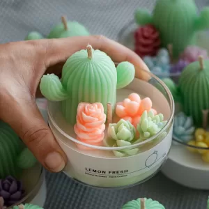Bring Nature Indoors with our Mini Cactus Garden Candles.