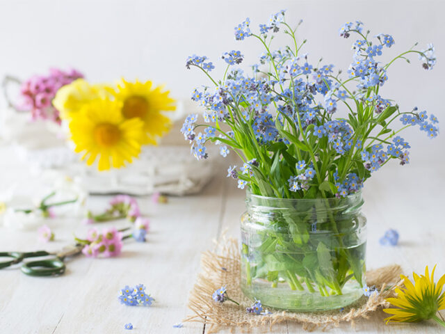 How to Repurpose the Beeswax Candle Jar