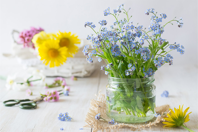 Creative ways to repurpose beeswax candle jars for home decor and storage.