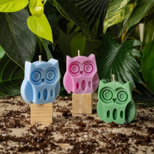 Three colorful owl-shaped candles in blue, pink, and green displayed on wooden stands amidst lush houseplants.