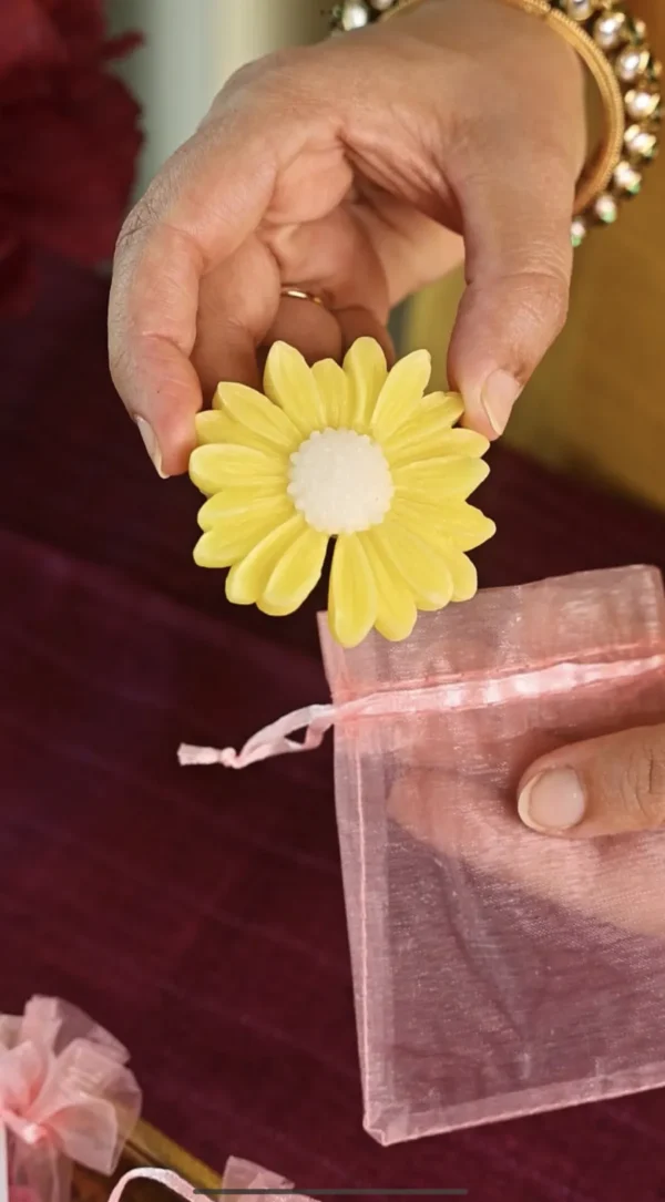 Daisy  Blooms