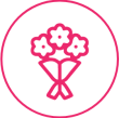 ws_h_Icon8