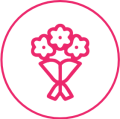 ws_h_Icon8